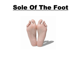 Sole of the Foot SKIN