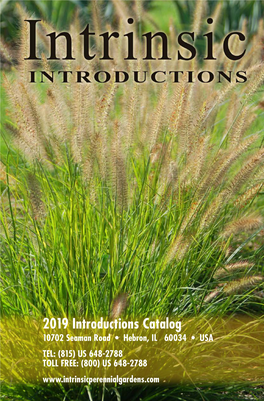 2019 Introductions Catalog