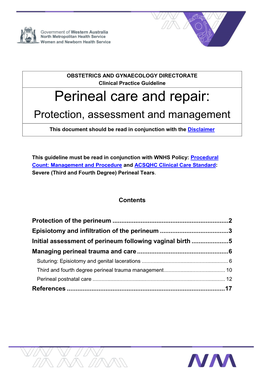 Perineal Care and Repair: Protection, Assessment and Management