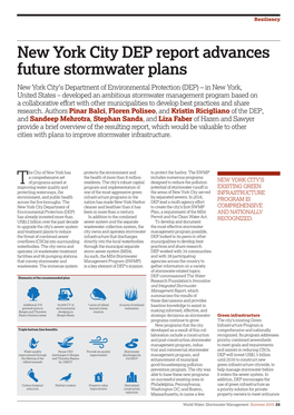 World Water Stormwater Management
