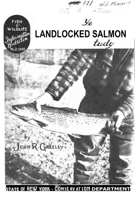 Landlocked Salmon