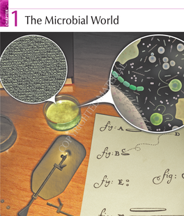 The Microbial World