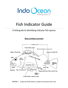 Fish Indicator Guide