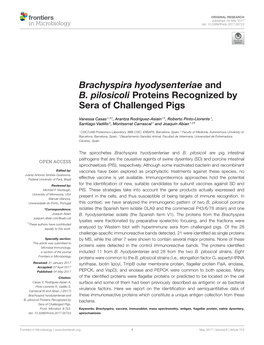 Brachyspira Hyodysenteriae and B