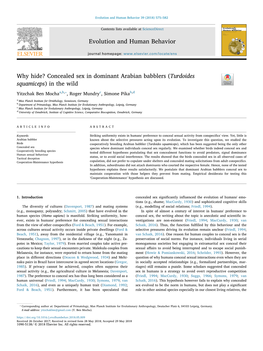 Concealed Sex in Dominant Arabian Babblers (Turdoides Squamiceps)