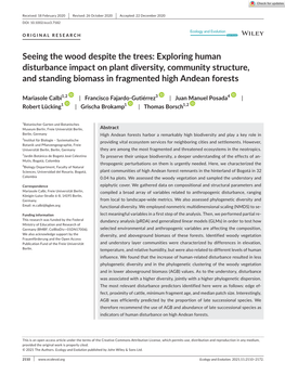 Seeing the Wood Despite the Trees: Exploring Human Disturbance Impact on Plant Diversity, Community Structure, and Standing Biomass in Fragmented High Andean Forests