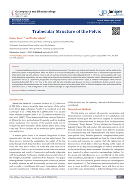 Trabecular Structure of the Pelvis