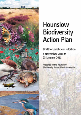 Hounslow Biodiversity Action Plan