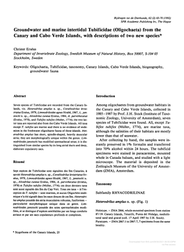 Groundwater and Marine Intertidal Tubificidae (Oligochaeta) from The