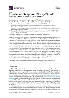 Detection and Management of Mango Dieback Disease in the United Arab Emirates