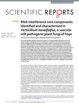 RNA Interference Core Components Identified and Characterised in Verticillium Nonalfalfae, a Vascular Wilt Pathogenic Plant Fung