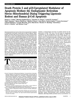 Death Protein 5 and P53-Upregulated Modulator of Apoptosis Mediate The