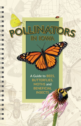 Pollinators in Iowa