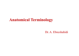 Anatomical Terminology