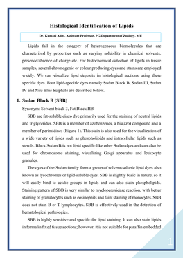 Histological Identification of Lipids