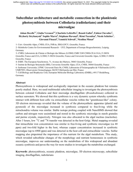 Subcellular Architecture and Metabolic Connection in the Planktonic Photosymbiosis Between Collodaria (Radiolarians) and Their Microalgae