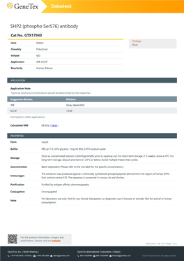 SHP2 (Phospho Ser576) Antibody Cat No