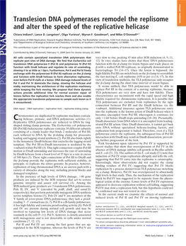 Translesion DNA Polymerases Remodel the Replisome and Alter the Speed of the Replicative Helicase