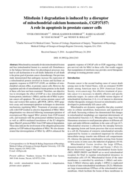 Mitofusin 1 Degradation Is Induced by a Disruptor of Mitochondrial Calcium Homeostasis, CGP37157: a Role in Apoptosis in Prostate Cancer Cells