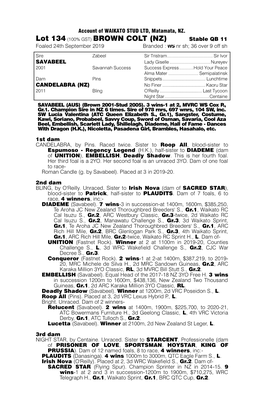 Lot 134 (100% GST) BROWN COLT (NZ) Stable QB 11 Foaled 24Th September 2019 Branded : Nr Sh; 36 Over 9 Off Sh