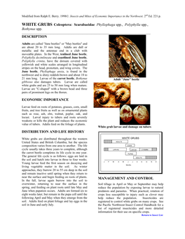 WHITE GRUBS Coleoptera: Scarabaeidae Phyllophaga Spp., Polyphylla Spp., Bothynus Spp