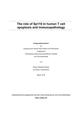 Phd Thesis Fabian Baldin.Pdf