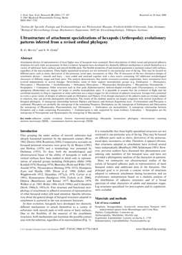 Ultrastructure of Attachment Specializations of Hexapods (Arthropoda): Evolutionary Patterns Inferred from a Revised Ordinal Phylogeny