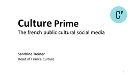 Culture Prime the French Public Cultural Social Media