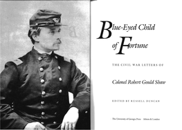 The Civil War Letters of Colonel Robert