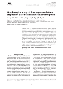 Morphological Study of Linea Aspera Variations: Proposal of Classification and Sexual Dimorphism