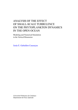 Analysis of the Effect of Small-Scale Turbulence On