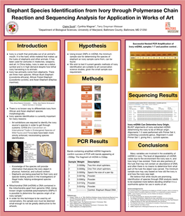 Elephant Species Identification from Ivory Through Polymerase Chain Reaction and Sequencing Analysis for Application in Works of Art