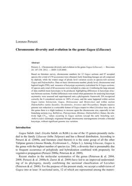 Lorenzo Peruzzi Chromosome Diversity and Evolution in the Genus