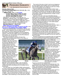 Havana the Moral of the Story Is That It Can Be Very Dangerous PEDIGREE INSIGHTS to Lump Together All the Stallion Sons of a Particular Sire