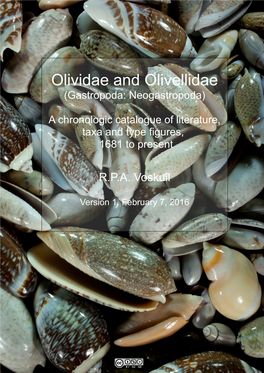 Olividae and Olivellidae (Gastropoda: Neogastropoda)