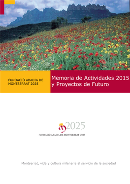 Memoria De Actividades 2015 Fundación 2025
