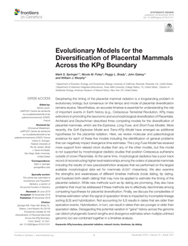 Evolutionary Models for the Diversification of Placental