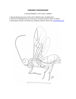 Synopsis and Key to the New World Genera of Cenocoeliinae