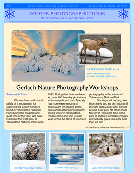 Gerlach Nature Photography Workshops Snowcoach Tours 1993