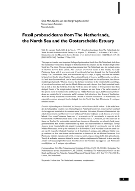 Fossil Proboscideans from the Netherlands, the North Sea and the Oosterschelde Estuary