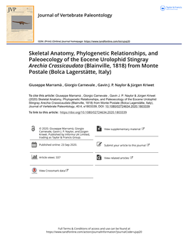 Skeletal Anatomy, Phylogenetic Relationships, And