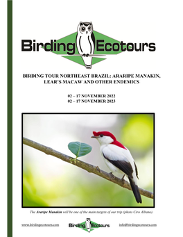 Birding Tour Northeast Brazil: Araripe Manakin, Lear's