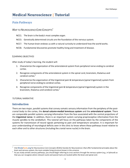 Medical Neuroscience | Tutorial