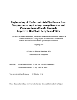 Engineering of Hyaluronic Acid Synthases from Streptococcus Equi Subsp