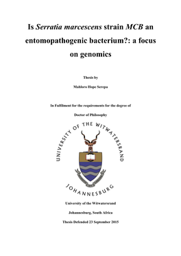 Serratia Marcescens Strain MCB an Entomopathogenic Bacterium?: a Focus on Genomics