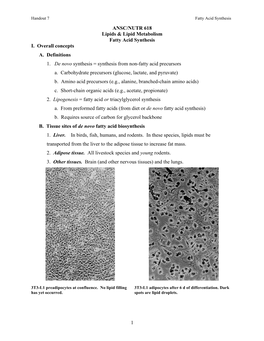 Fatty Acid Synthesis, Elongation, and Desaturation