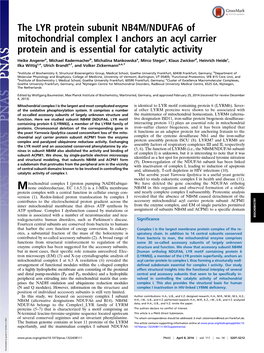 The LYR Protein Subunit NB4M/NDUFA6 of Mitochondrial Complex I Anchors an Acyl Carrier Protein and Is Essential for Catalytic Activity