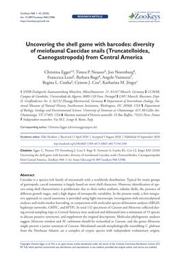 Uncovering the Shell Game with Barcodes: Diversity of Meiofaunal Caecidae Snails (Truncatelloidea, Caenogastropoda) from Central America