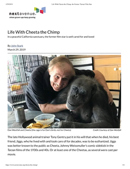 Life with Cheeta the Chimp, the Former 'Tarzan' Film Star