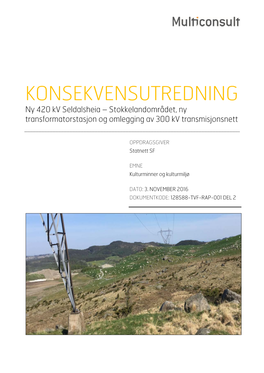 KONSEKVENSUTREDNING Ny 420 Kv Seldalsheia – Stokkelandområdet, Ny Transformatorstasjon Og Omlegging Av 300 Kv Transmisjonsnett